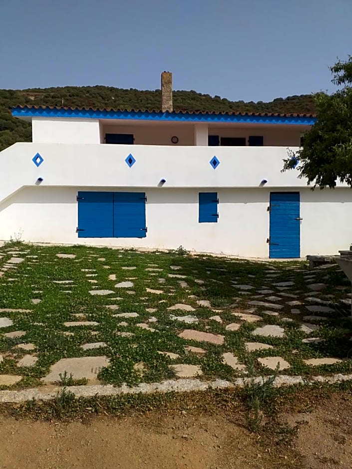 B&B Daillu