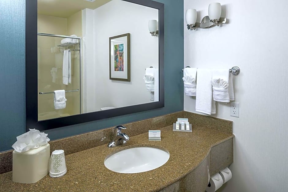 Hilton Garden Inn Dfw North Grapevine