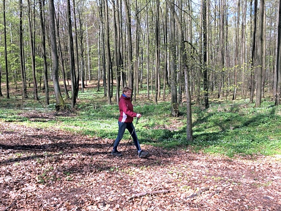 Stajnia Sarnówek Nad Jeziorem Różany