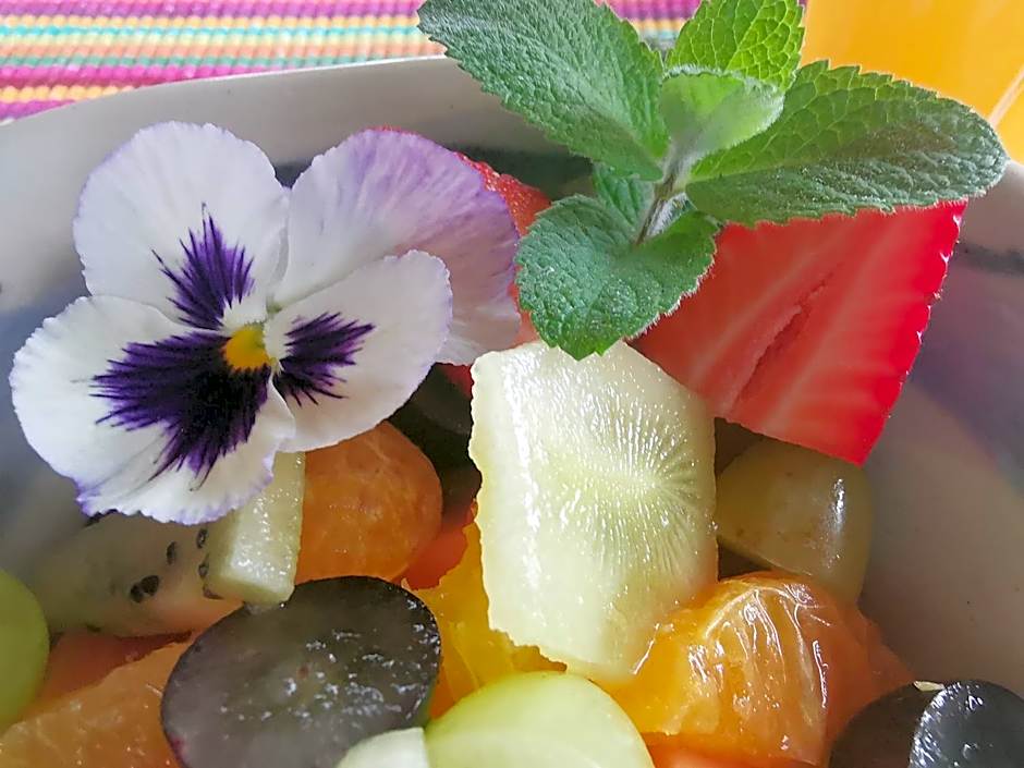 Eloff Guest House and Gallery