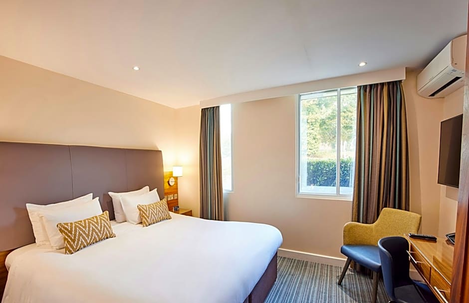 Photo 1 of 12 of Executive 1 King Bed