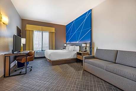 1 King Bed Nonsmoking Accessible