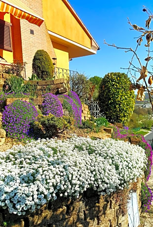 La Mammola Bed&Breakfast