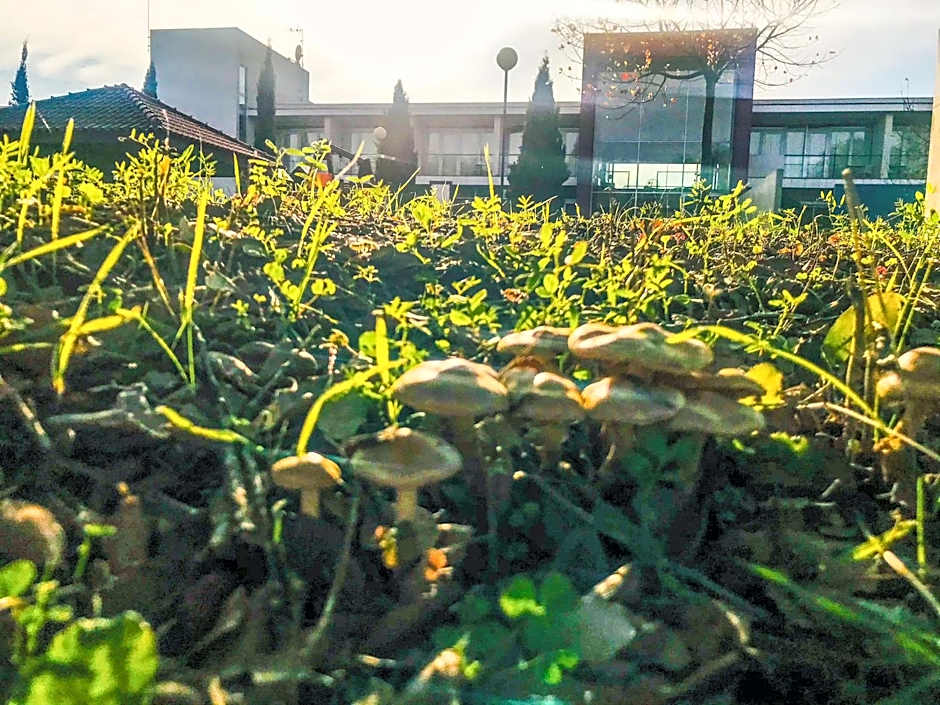 Hotel Santa Margarida