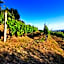 Agriturismo La Carreccia