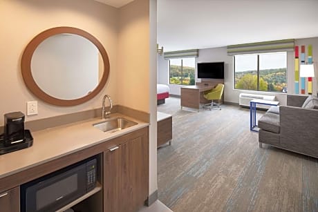1 King Microwv/Fridge/Wet Bar Studio Suite