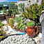Guest House Veronika