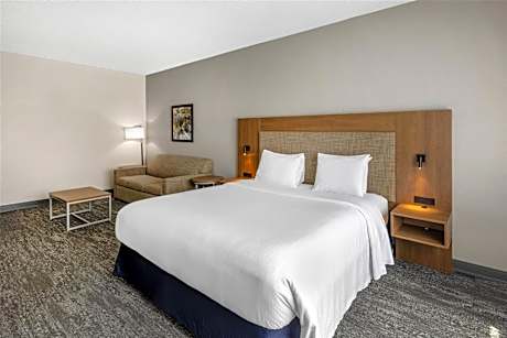 King Room with Sofa Bed