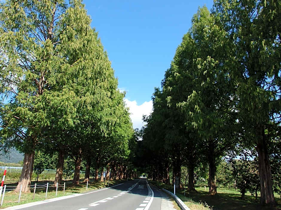 Forest Villa YUMESUZU the Closest Accommodation to the Metasequoia Tree-lined Avenue