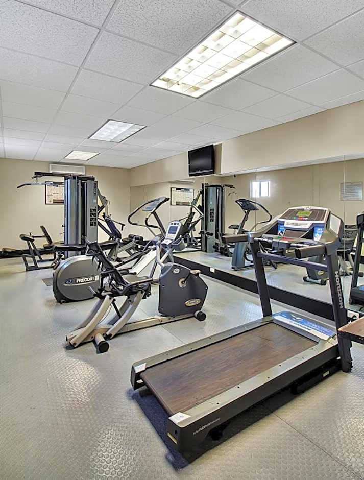 Everest Ciudad Victoria