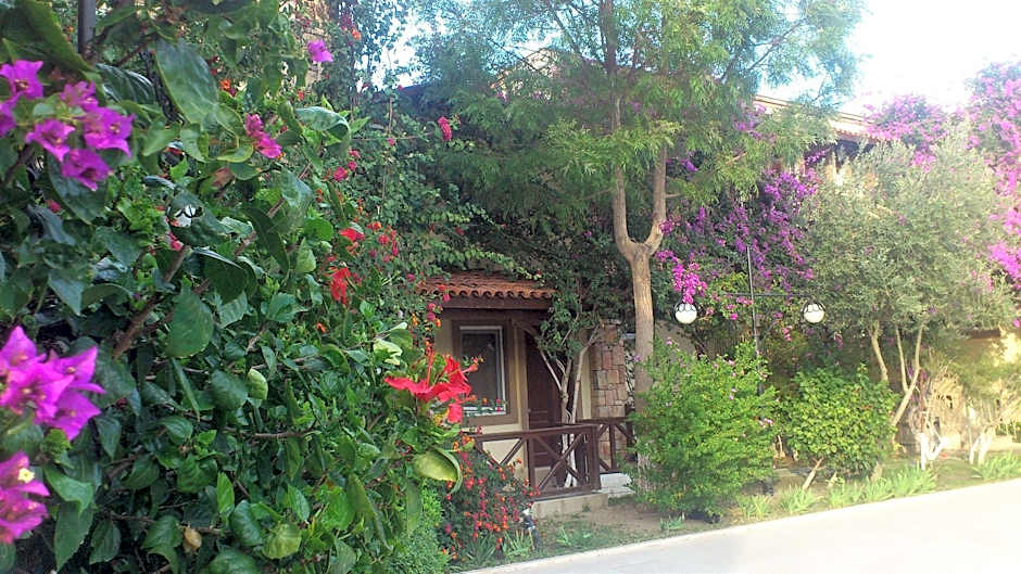 Moonshine Hotel & Suites