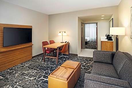 2 ROOM PREMIUM SUITE-1 KING BED-NONSMOKING