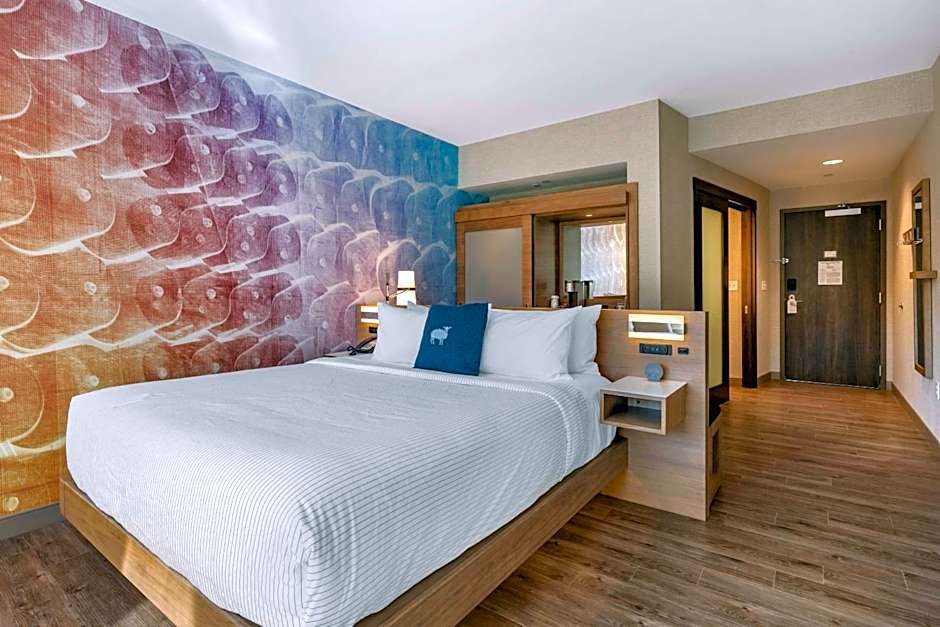 Cambria Hotel Manchester South Windsor