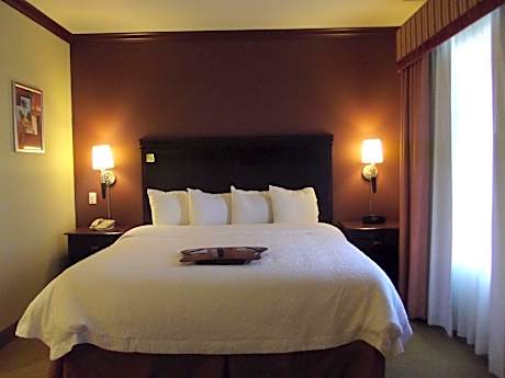 1 King Mobility Access Ri Shwr Studio Nosmok