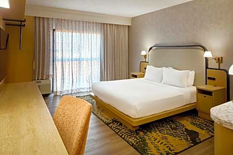 King Room with Sofa Bed and Roll-in Shower - Mobility and Hearing Accessible