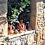 Apollonia Hotel Apartments