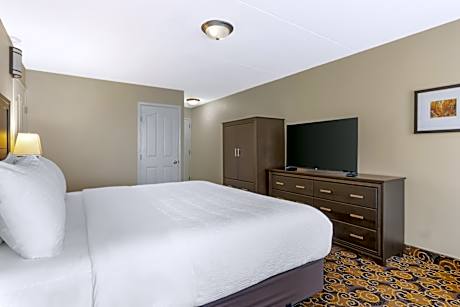 Suite-1 King Bed Non-Smoking Fireplace Sofa Microwave And Refrigerator Wi-Fi Full Breakfast