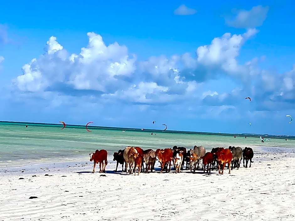 Mem Luxury Apartments and Hotel