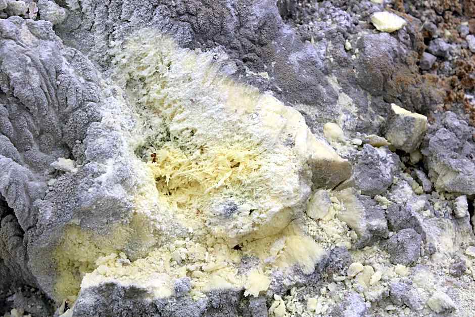 Isamar Hotel Galápagos