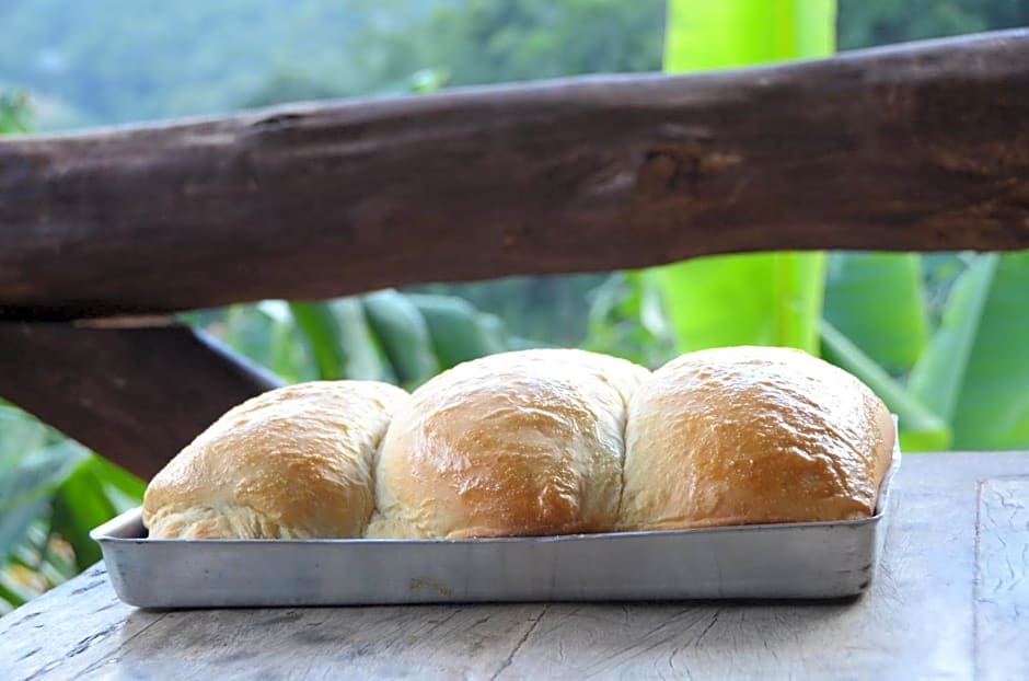 Sitio Recanto Primata