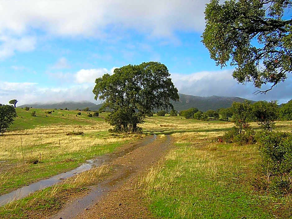 Casa del Valle, Lodges