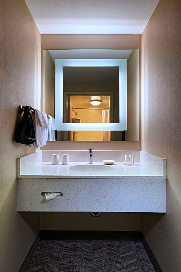 SpringHill Suites by Marriott Boise West/Eagle