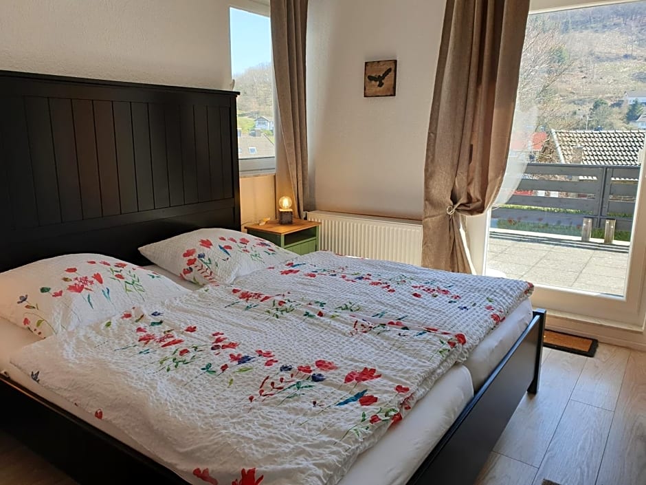 Eifelblümchen