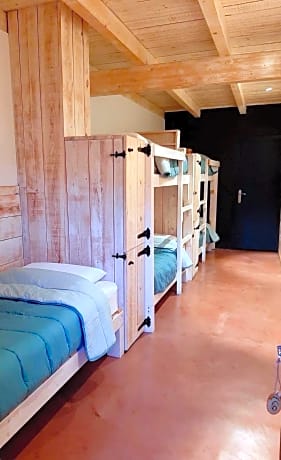 Single Bed in 5-Bed Dormitory Room