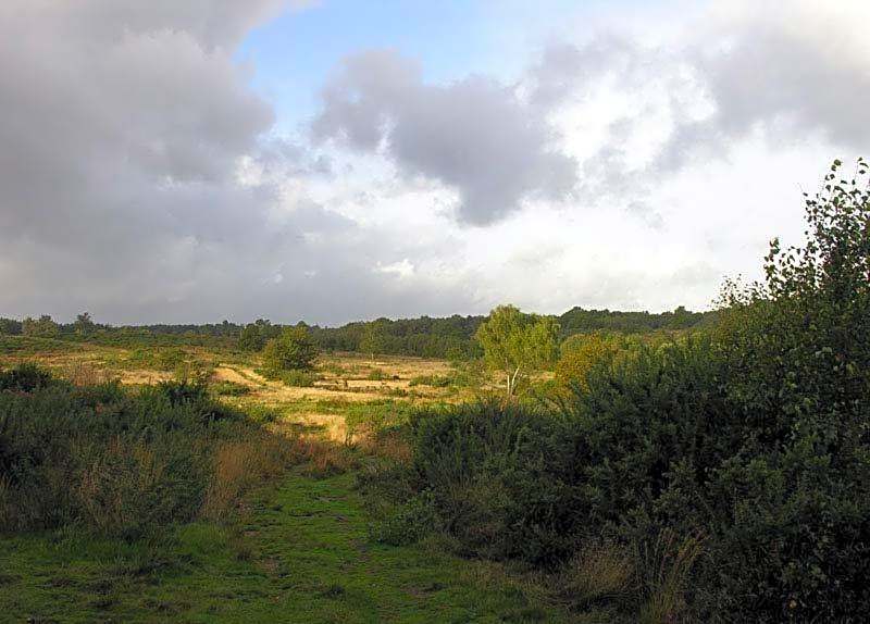 Abacus Bed and Breakfast, Blackwater, Hampshire