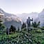 Mountain Hostel Gimmelwald