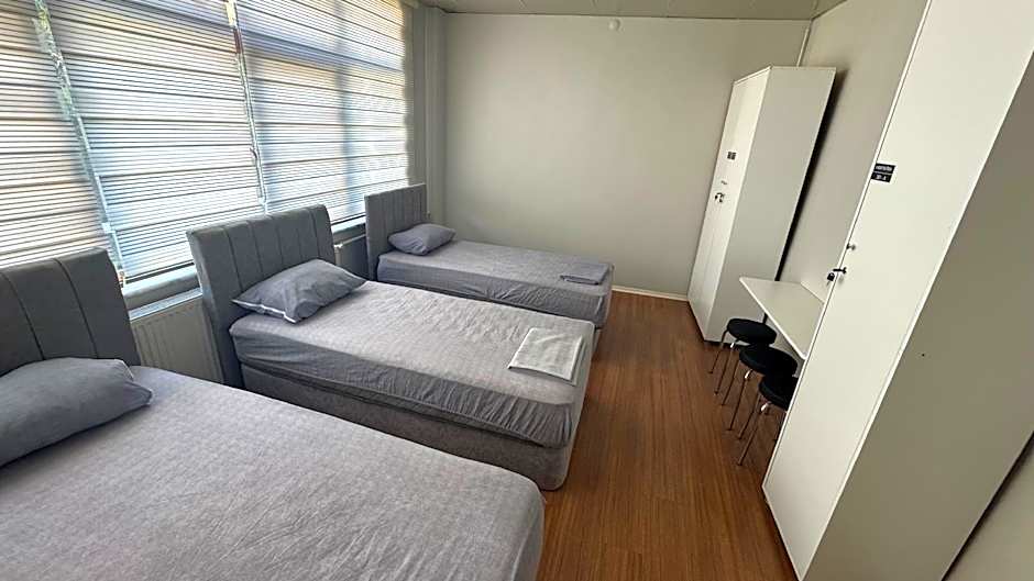 Hostelida