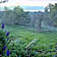 Waterview Gardens B&B