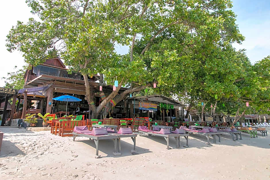Greenplace-Samed Seahorse