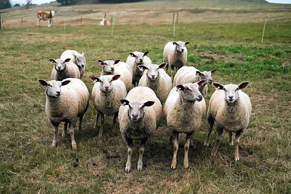 Gastinger Hotel-Restaurant