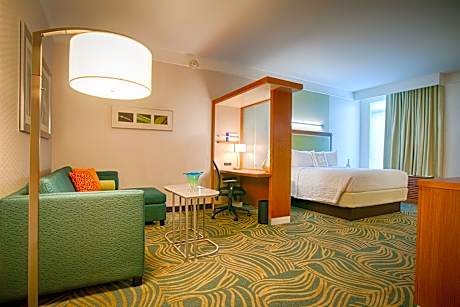 Larger Suite, 1 King, Sofa bed