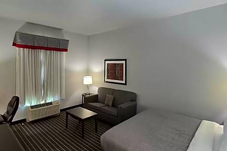 1 King W/Sofabd/Microwv/Fridge Ns