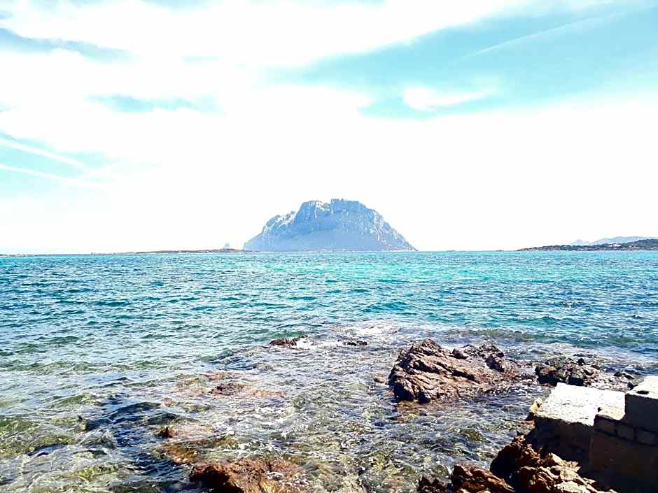 Castello Di Tavolara