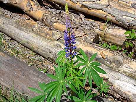 Hillside Cottage near Winterberg