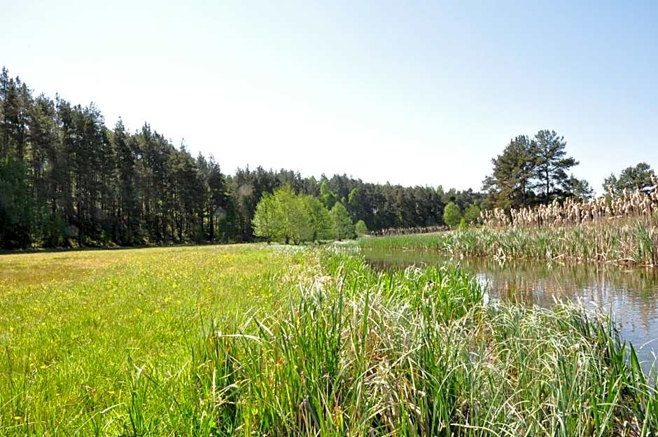 Osada Grzybowski Młyn