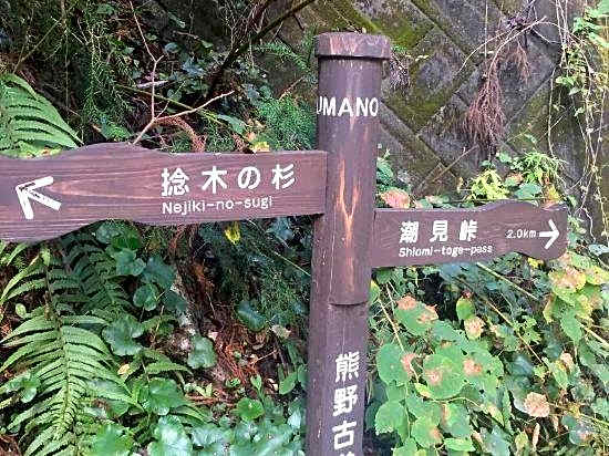 Kumano Kodo Winery Guest House