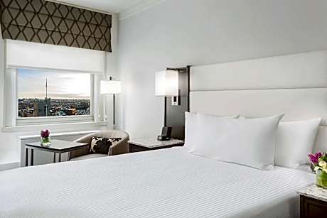 1 Queen Bed Guestroom
