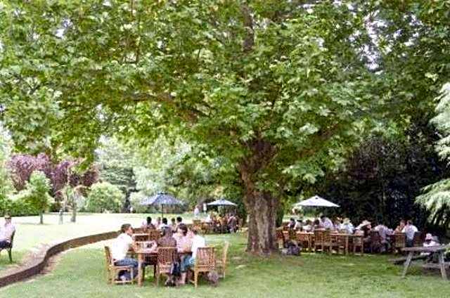 Petersons Armidale Winery and Guesthouse