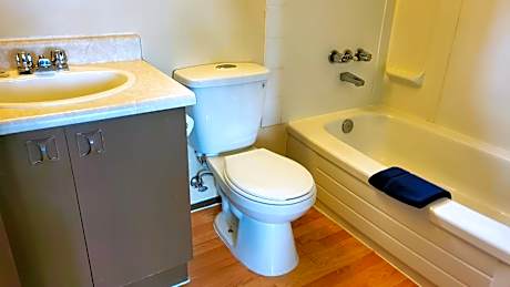 Deluxe Double Room (2 Adults + 1 Child)