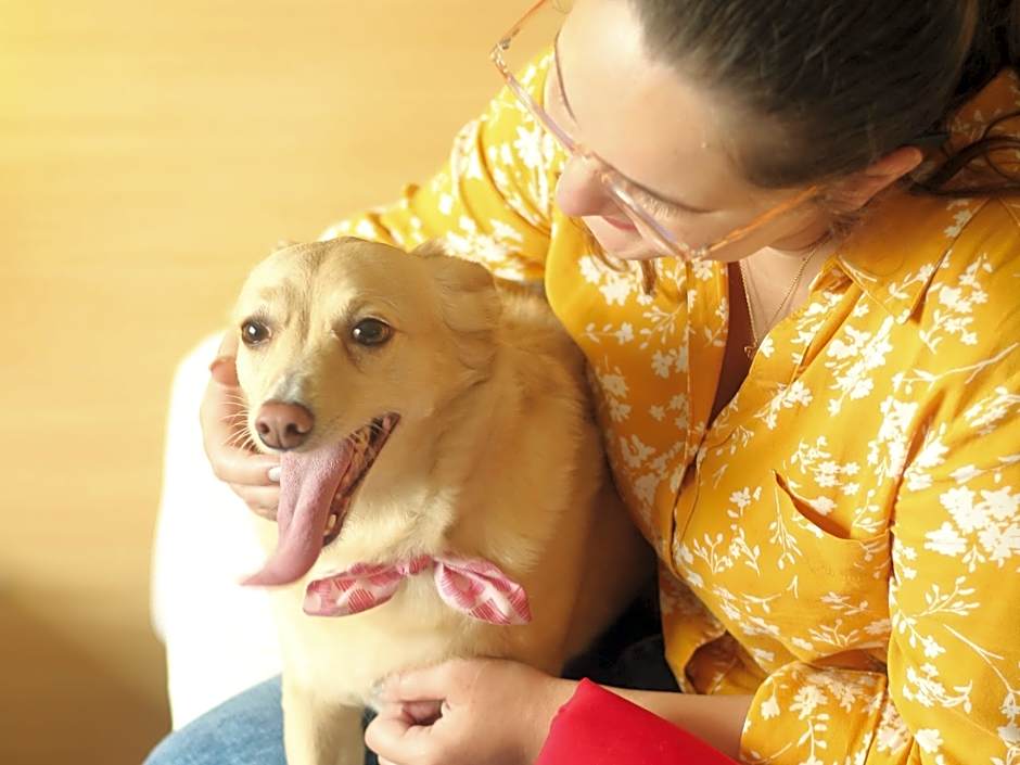 ibis Sao Jose dos Campos Dutra