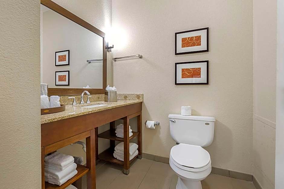 Comfort Inn Memphis Downtown