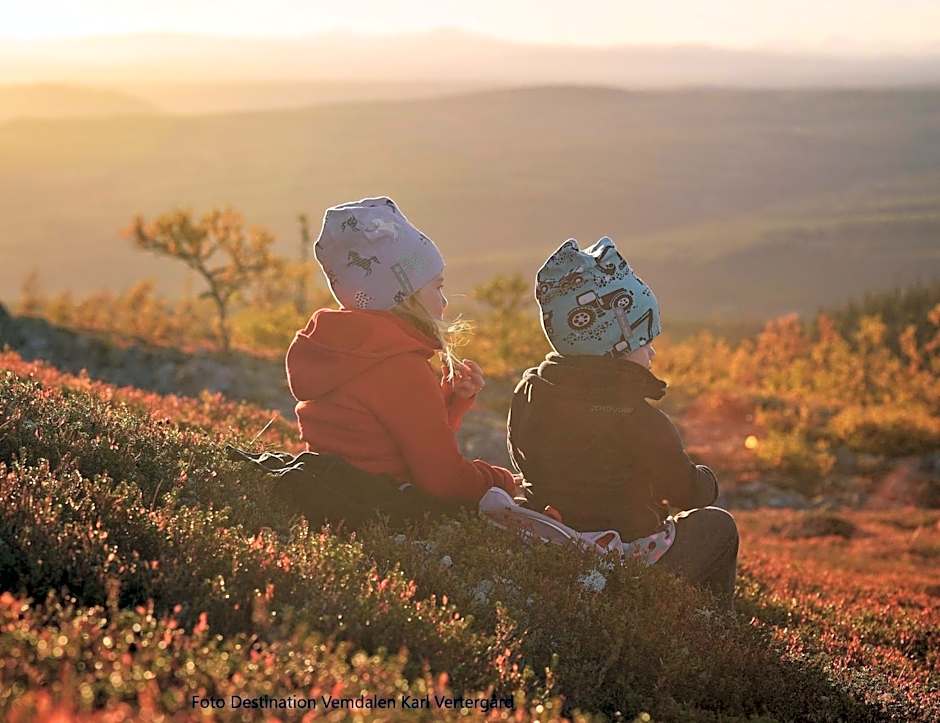 Vemdalsskalets Högfjällshotell & lägenheter