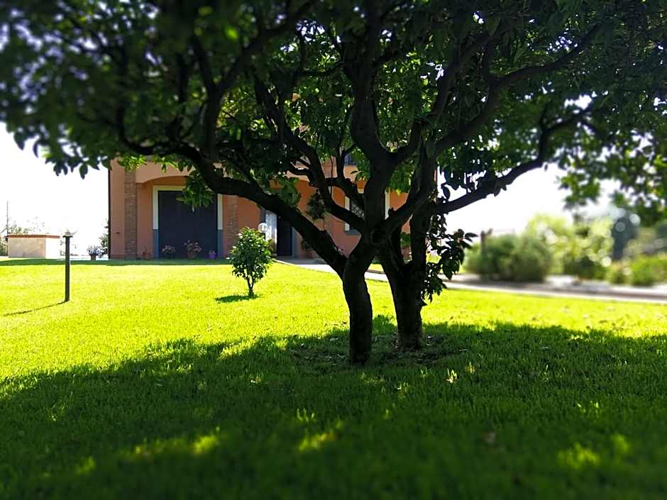 Villa Feluchia Tra Il Mare E Il Vulcano