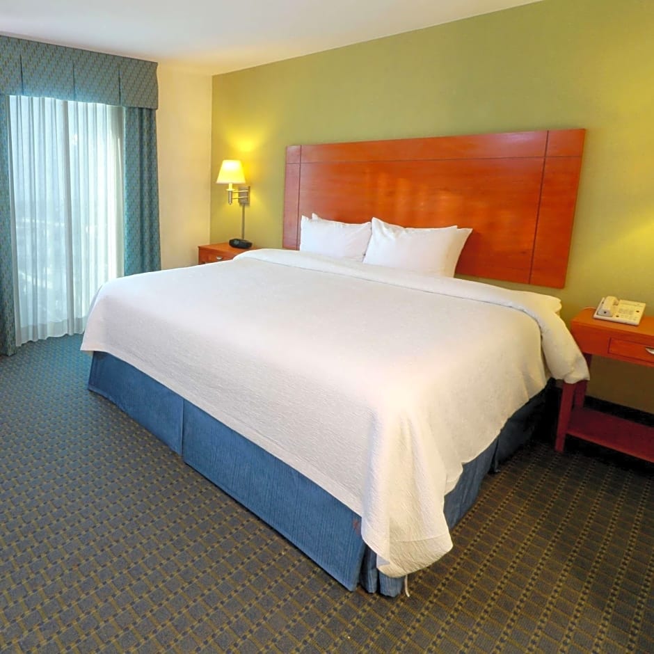 Hampton Inn By Hilton Reynosa