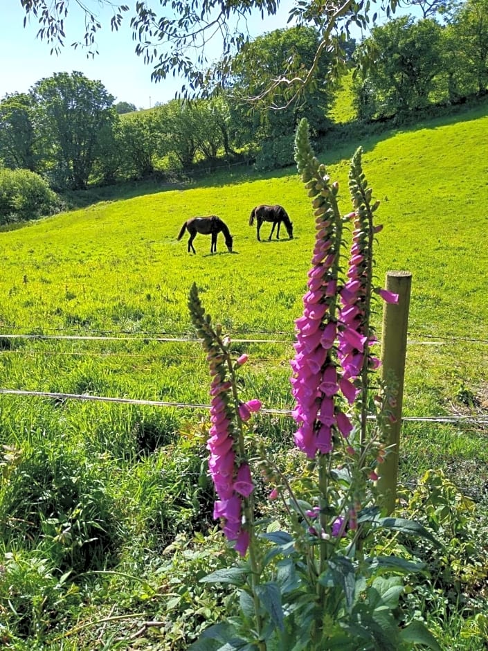 Kerryanna Country House Bed and Breakfast