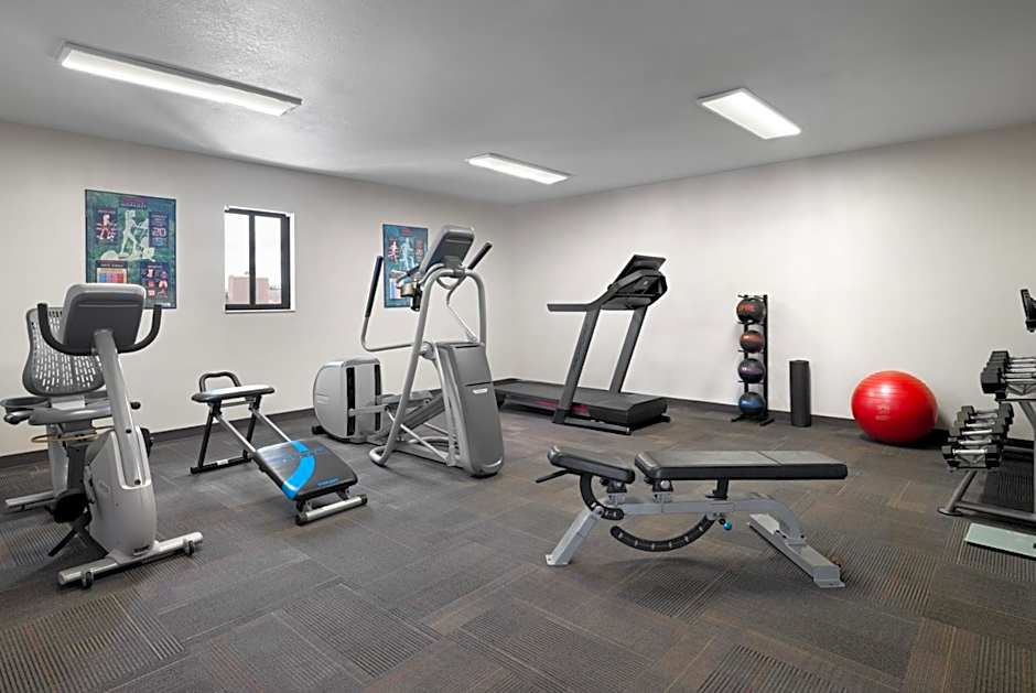 Hotel South Tampa & Suites